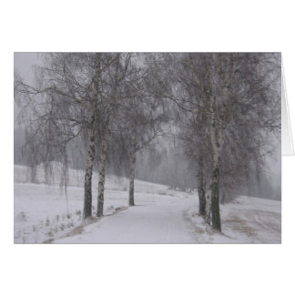 Arbres en hiver
