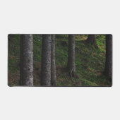 Arbres et mousse verte (Recto)