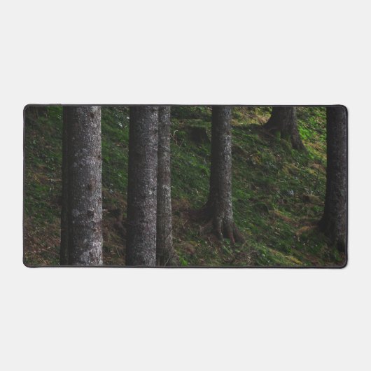 Arbres et mousse verte (Recto)