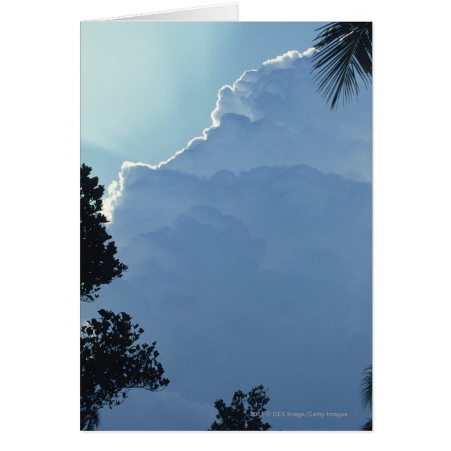 Arbres et nuages (Devant)