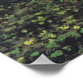 Arbres et sous-bois par Van Gogh Poster (Coin)