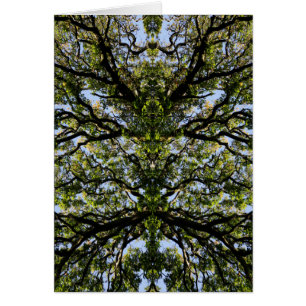 Arbres image miroir