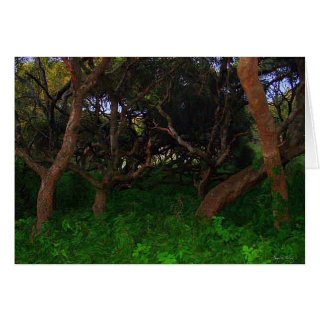 Arbres narrés (Devant horizontal)