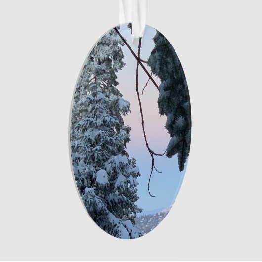 Arbres neigeux (devant)