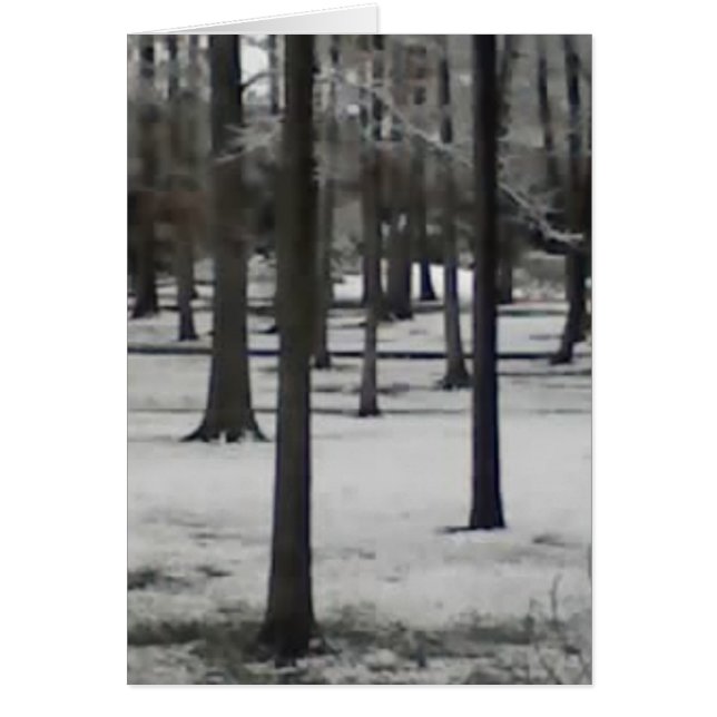 Arbres neigeux (Devant)