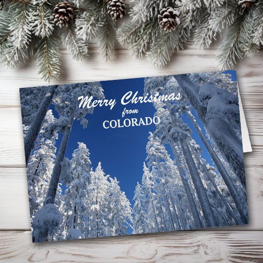 Arbres neigeux du Colorado Carte de Noël