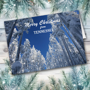 Arbres neigeux du Tennessee Carte de Noël