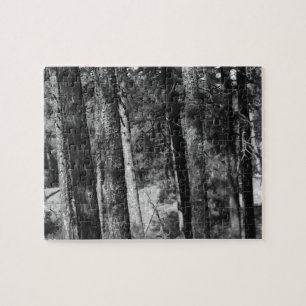 arbres noirs et blancs tout autour du puzzle