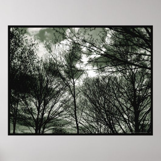 Arbres | Poster (Devant)