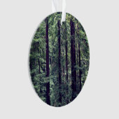 Arbres séquoias no 2 (devant)