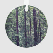 Arbres séquoias no 2 (dos)