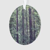 Arbres séquoias no 2 (devant)