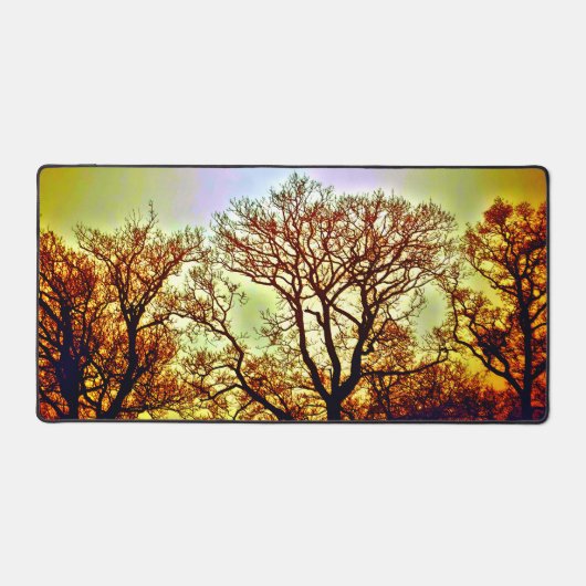 ARBRES SOLEIL BRUMEUX (Recto)