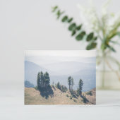 Arbres surplombant le lassen | Carte postale (Debout devant)
