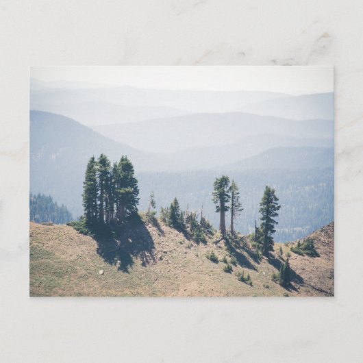 Arbres surplombant le lassen | Carte postale (Devant)