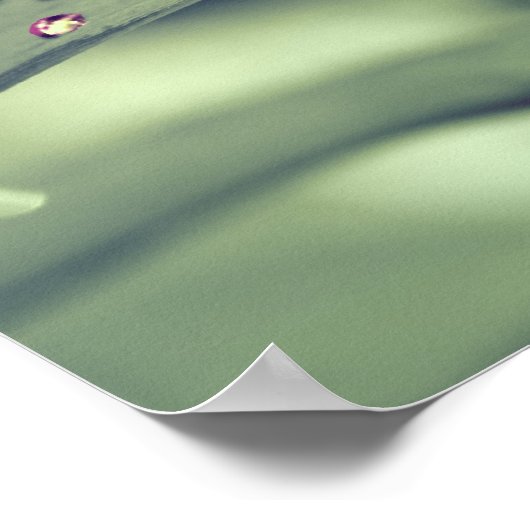 Arc-en-ciel Poster / Impression encadrée (Coin)