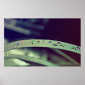 Arc-en-ciel Poster / Impression encadrée (Devant)