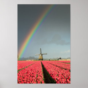 Arc-en-ciel, tulipes et affiche de verticale de