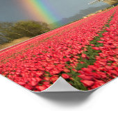 Arc-en-ciel, tulipes et affiche du moulin à vent (Coin)