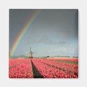 Arc-en-ciel, tulipes et aimant de moulin à vent (Devant)
