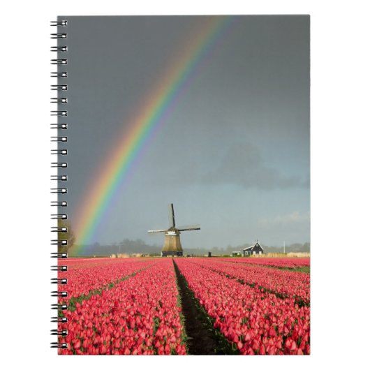 Arc-en-ciel, tulipes et carnet de moulin à vent (Devant)