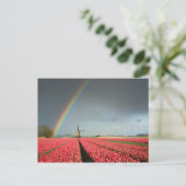 Arc-en-ciel, tulipes et carte postale (Debout devant)