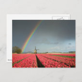 Arc-en-ciel, tulipes et carte postale (Devant / Derrière)
