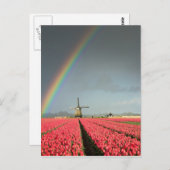 Arc-en-ciel, tulipes et carte postale verticale du (Devant / Derrière)