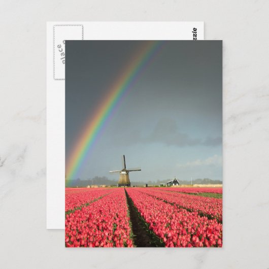 Arc-en-ciel, tulipes et carte postale verticale du (Devant / Derrière)