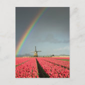 Arc-en-ciel, tulipes et carte postale verticale du (Devant)