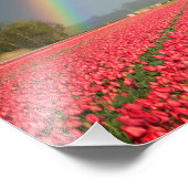 Arc-en-ciel, tulipes et impression photo de moulin (Coin)