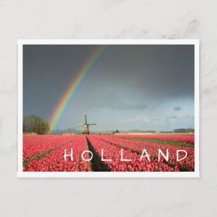 Arc-en-ciel, tulipes et moulin Holland carte posta
