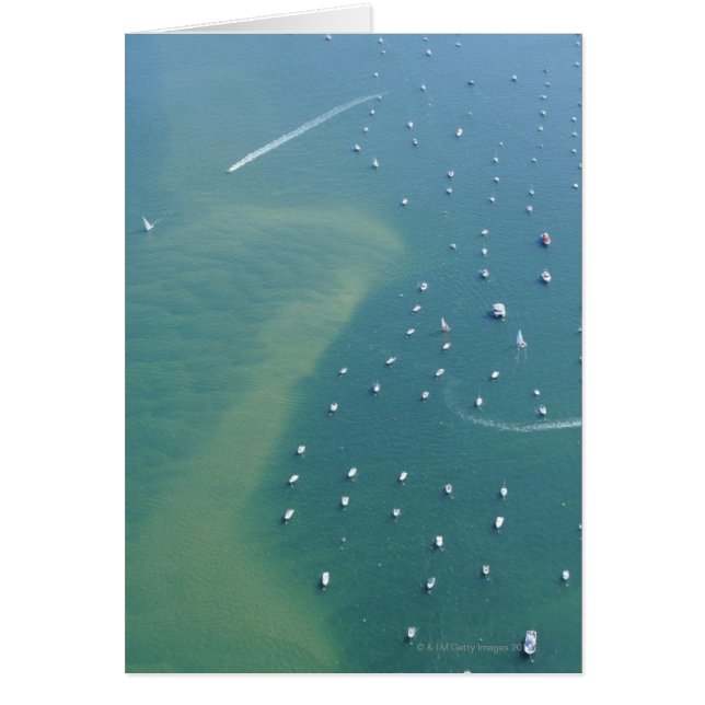 Arcachon Bassin (Voorkant)