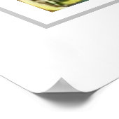 Arch Rock Mackinac Island Poster (Hoek)