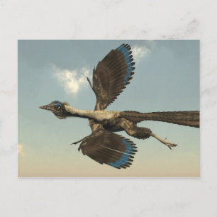 Archaeopteryx birds dinosaurs flying - 3D Briefkaart