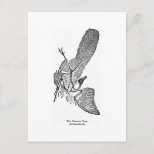Archaeopteryx briefkaart