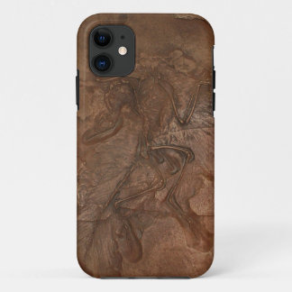 Archaeopteryx fossiel - Casemate iPhone 11 Hoesje