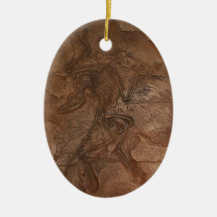 Archaeopteryx fossiel - Ornament
