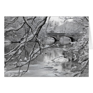 Archbrug over de Bevroren rivier in de winter