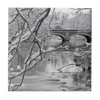 Archbrug over de Bevroren rivier in de winter Tegeltje