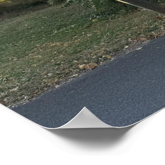 Arched Bridge Photo-Poster Poster (Hoek)