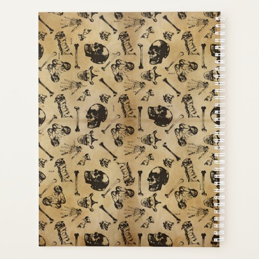 Archéologie de l'anatomie osseuse (Dos)