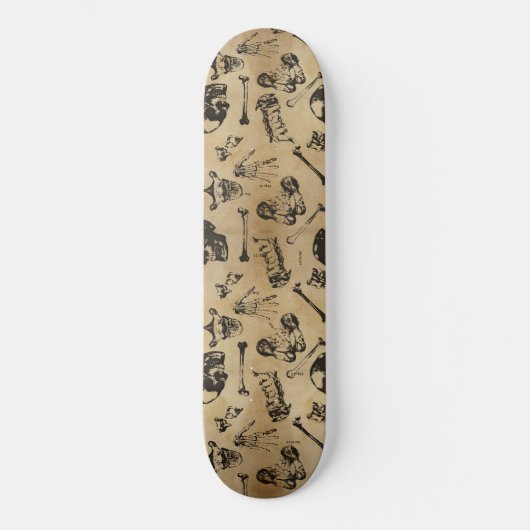 Archeologie de l'anatomie osseuse Skateboard (Recto)