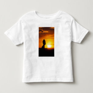 Arches National Park, UT Balance Rock bij Kinder Shirts