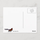 Arches Slickrock en Evening Primrose Landschap Briefkaart (Achterkant)