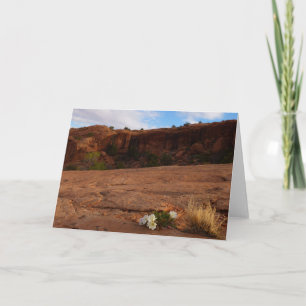 Arches Slickrock en Teunisbloem Landschap Kaart