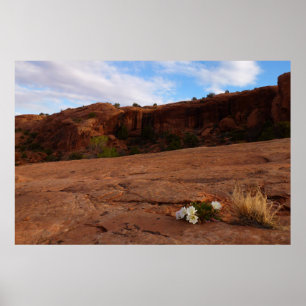 Arches Slickrock en Teunisbloem Landschap Poster