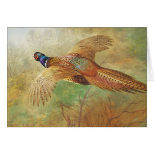 Archibald Thorburn Flying Pheasant Bird cards