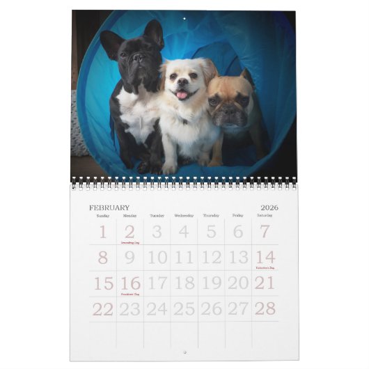 Archie Brindleton's 2018x Calendarbook!! Kalender (Feb 2026)