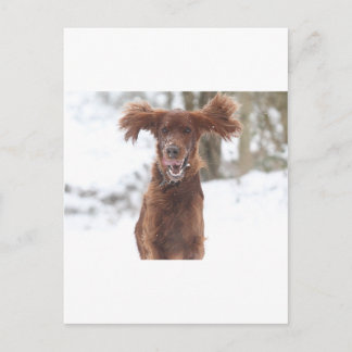 Archie II Briefkaart